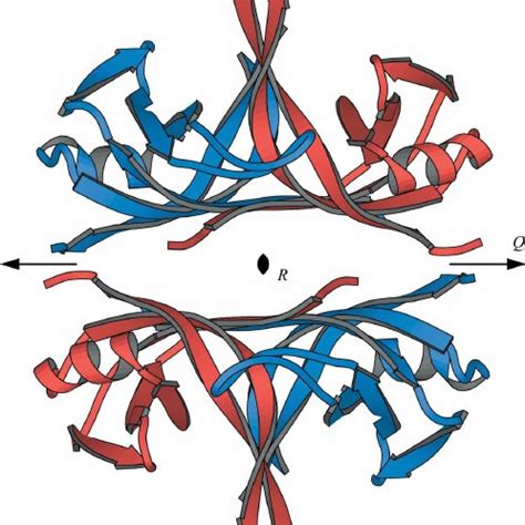 (PDF) Structure of the single-stranded DNA-binding protein SSB from ...