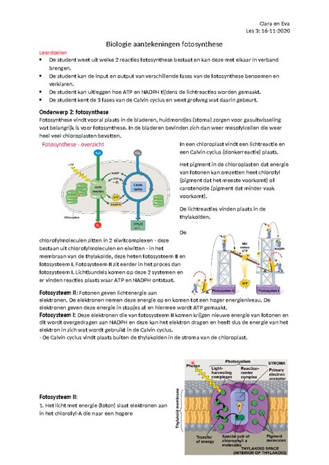 Biologie Aantekeningen Week 2 Les 3 Clara En Eva Les 3 16 11
