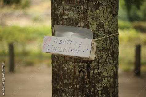 Cinzeiro Criativo Em Um Festival De Permacultura Em Portugal Uma