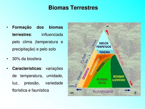 PPT TIPOS DE ECOSSISTEMAS BIOMAS PowerPoint Presentation Free