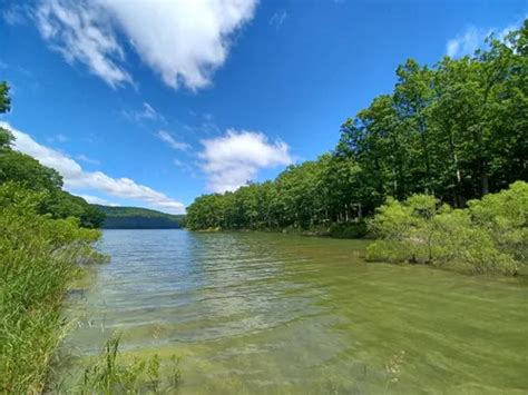 Best 10 Hikes and Trails in Allegheny National Forest | AllTrails