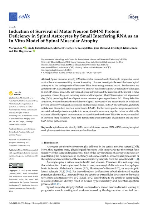 Pdf Induction Of Survival Of Motor Neuron Smn Protein Deficiency In