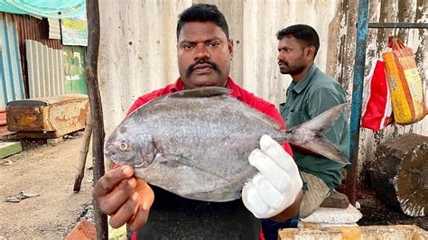 KASIMEDU SPEED SELVAM BLOCK POMFRET FISH CUTTING IN KASIMEDU FISH