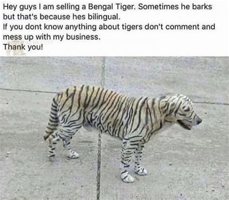 hilarious   people   good sense  humor