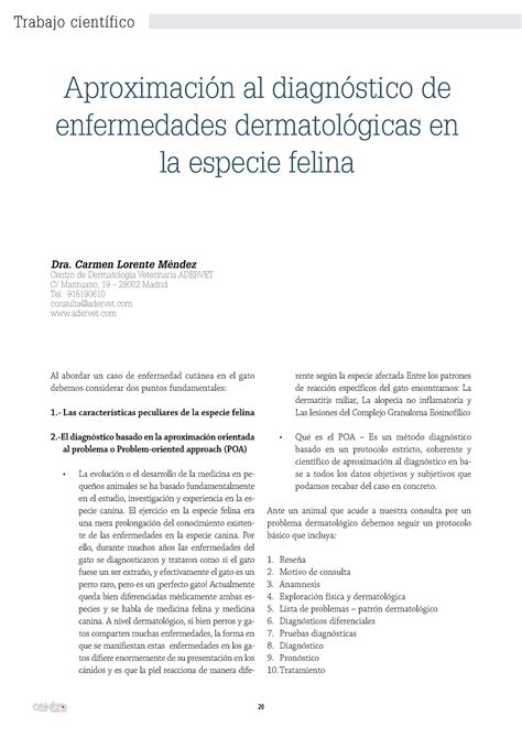 Cv Enfermedades Dermatologicas Especie Felina Al Abordar Un Caso