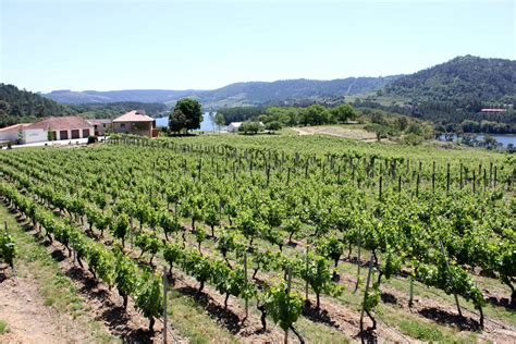 Guía Peñín de Enoturismo Priorato de Razamonde Peñín El nuevo Peñín