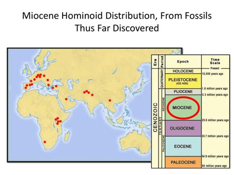 Miocene Hominoid Distribution From Fossils Thus Far Discovered