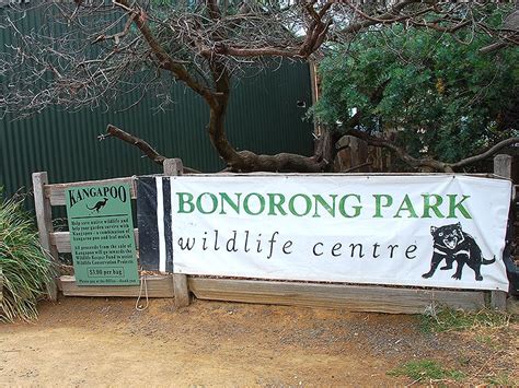 Bonorong Wildlife Sanctuary | About Tasmania