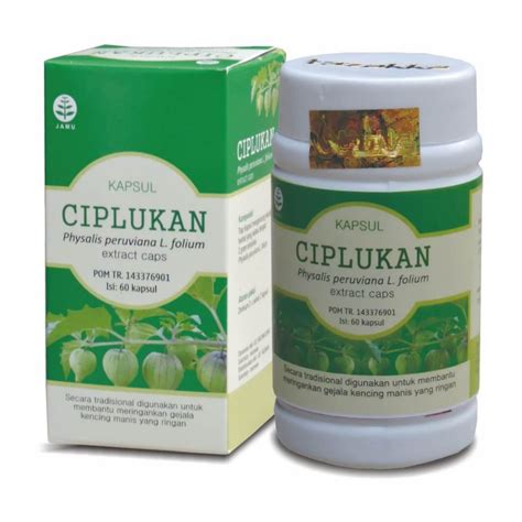 Jual Kapsul Ciplukan Tazakka Original Obat Jantung Herbal Diabetes