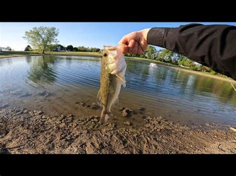 Catching Bass And Bluegill Catch And Cook Youtube