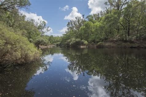 Blackwood River National Park