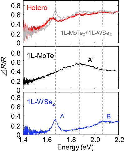 Differential reflectance spectra ΔR R of 1LWSe2 blue line