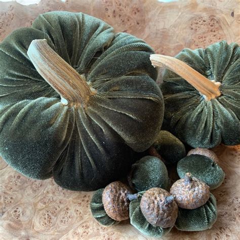 Burnt Orange Velvet Pumpkins With Real Stems Velvet Acorns Etsy