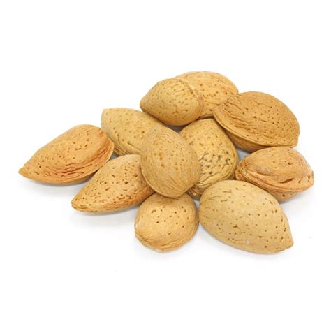 Almonds In Shell Nuts Wholesale Bulk Nutsite