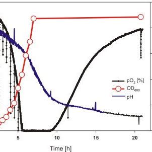 PH And Dissolved Oxygen Tension In A Typical E Coli Shake Flask