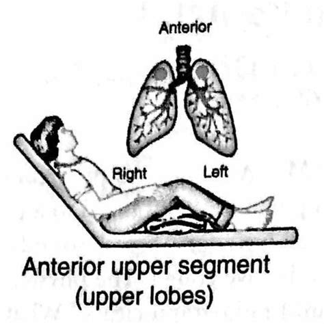 Postural Drainage Positions Segments Flashcards Quizlet