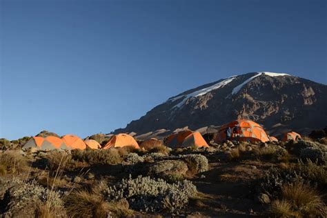 Days Kilimanjaro Climbing Tour Machame Route