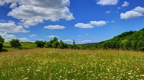 Kostenlose Hintergrundbilder Grüne Wiese Unter Blauem Himmel Und Weißen