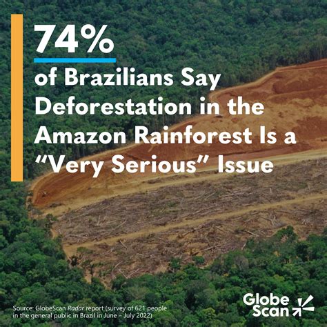 Insight Of The Week 74 Of Brazilians Say Deforestation In The Amazon