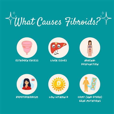 What Causes Uterine Fibroids Christine Garvin