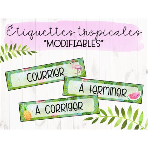 Tiquettes Tropicales Modifiables Pour La Classe