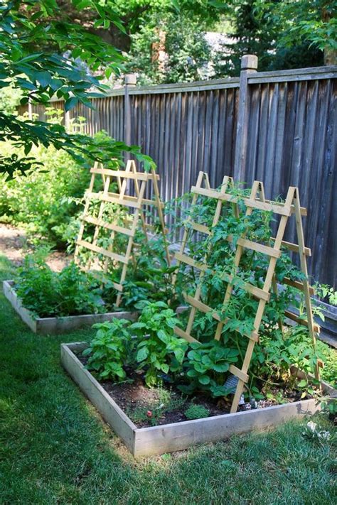 Easy Diy Gardening Ideas With Vegetables That Surprised You