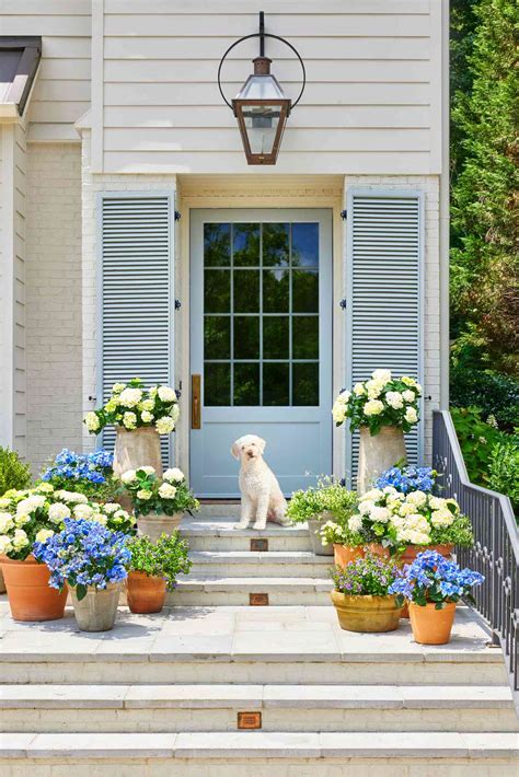 Front Door Container Garden Ideas For An Eye Catching Entryway