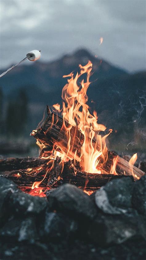 1080p Free Download Camping Fire Nature Wood Hd Phone Wallpaper