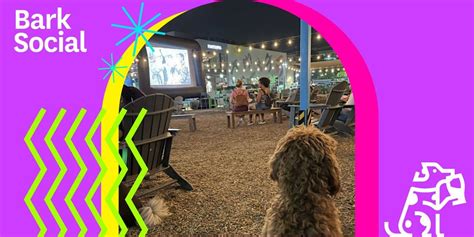 Bark Social Movie Night Bring It On 935 Prose St Bethesda Md