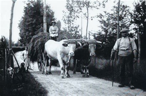 Le moulin Colon à Manziat Deuxième épisode Les Amis du Patrimoine