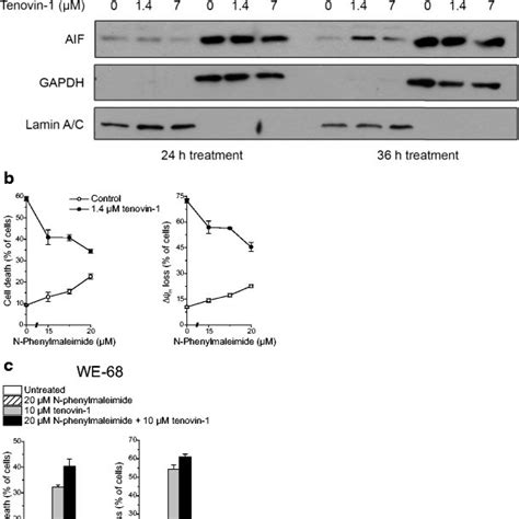 Role Of Gene Expression In Tenovin Induced Cytotoxicity In Sk N Mc