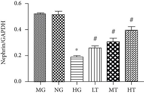 Effects Of TSN On Nephrin Expression And Podocyte Cytoskeleton In High