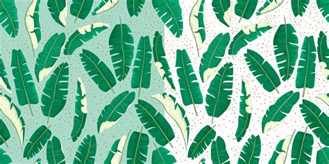 Banana Leaf Pattern Vector At Vectorified Collection Of Banana