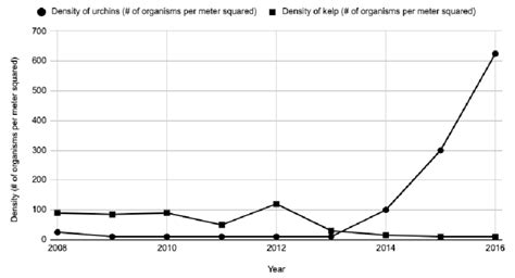 Purple Urchin Growth And Kelp Decline The Population