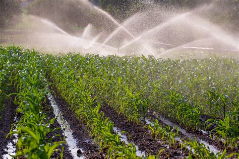 irrigation-maize-GettyImages-1125727188 – Your Connection to Wildlife