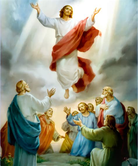 Ascension Of Our Lord Jesus Christ Nelson Mcbs