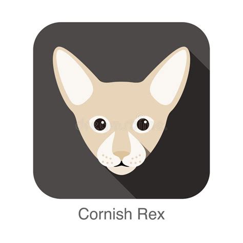 Cornish Rex Cat Cat Breed Face Cartoon Flat Icon Design Stock Vector