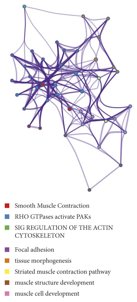 Validation Of The Hub Gene Expressions In The Gse Dataset A