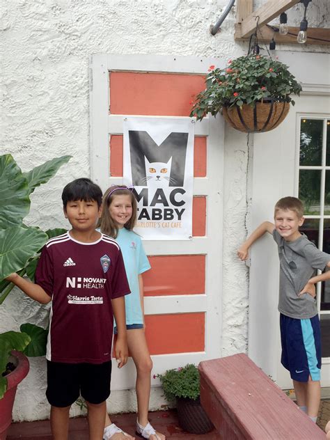 Local Spotlight: Mac Tabby Cat Cafe - Charlotte, NC