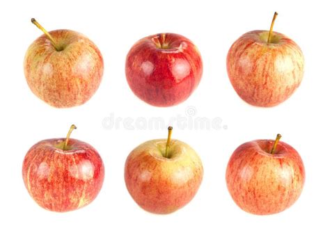 466 Six Apples Photos Free And Royalty Free Stock Photos From Dreamstime