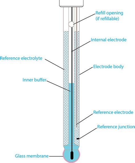 Glass Electrode Diagram