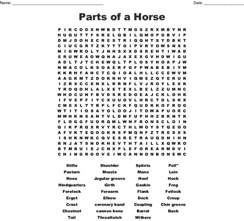 Horse Word Search Puzzles Printable - Word Search Printable