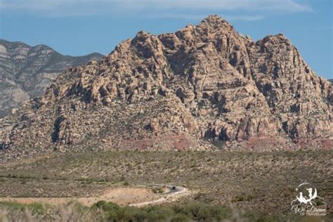 Red Rock Canyon Scenic Drive Best Stops Hikes Permit Info