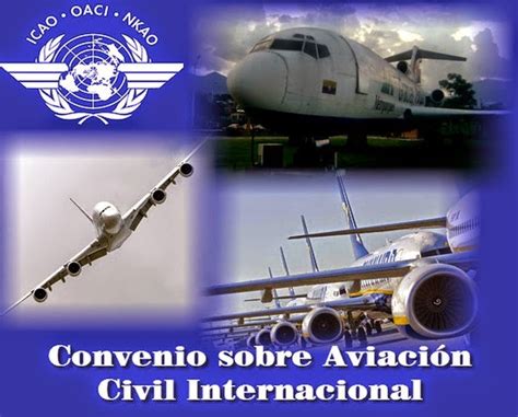 10 Puntos Clave Del Anexo 14 Oaci Para Una Aviación Segura Y Eficiente