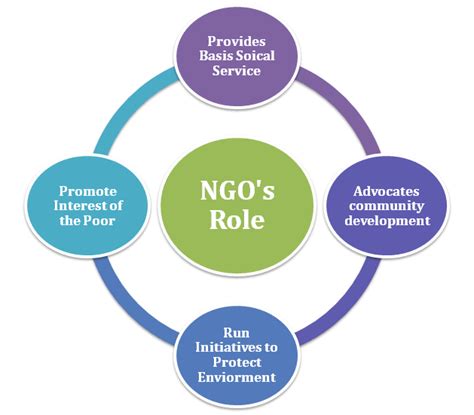 How Does A Non Governmental Organization Ngo Impact A Society