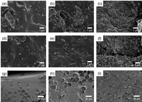 Figure 1 From Mechanical Properties And Bioactivity Of Poly Lactic Acid