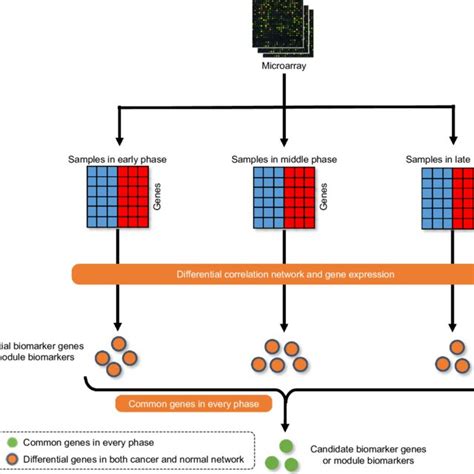 Schematic Flowchart Of Identifying Candidate Biomarker Genes Or Module