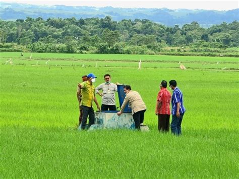 Petani Senang Biaya Produksi Food Estate Sumba Tengah