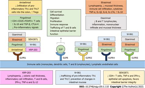 Unveiling The Biological Role Of Sphingosine Phosphate Receptor