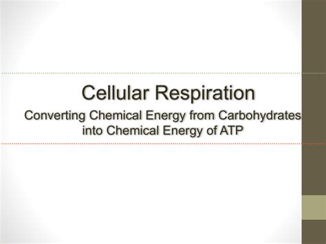 Cellular Respiration Notes